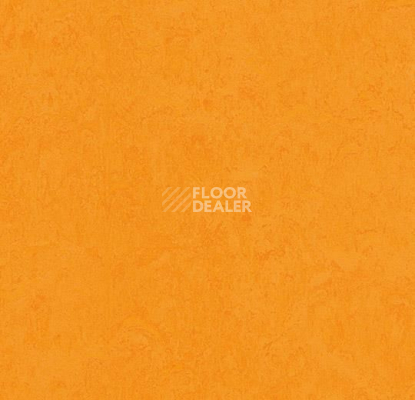 Линолеум Forbo Marmoleum Marbled Fresco 3262-326235 marigold фото 1 | FLOORDEALER